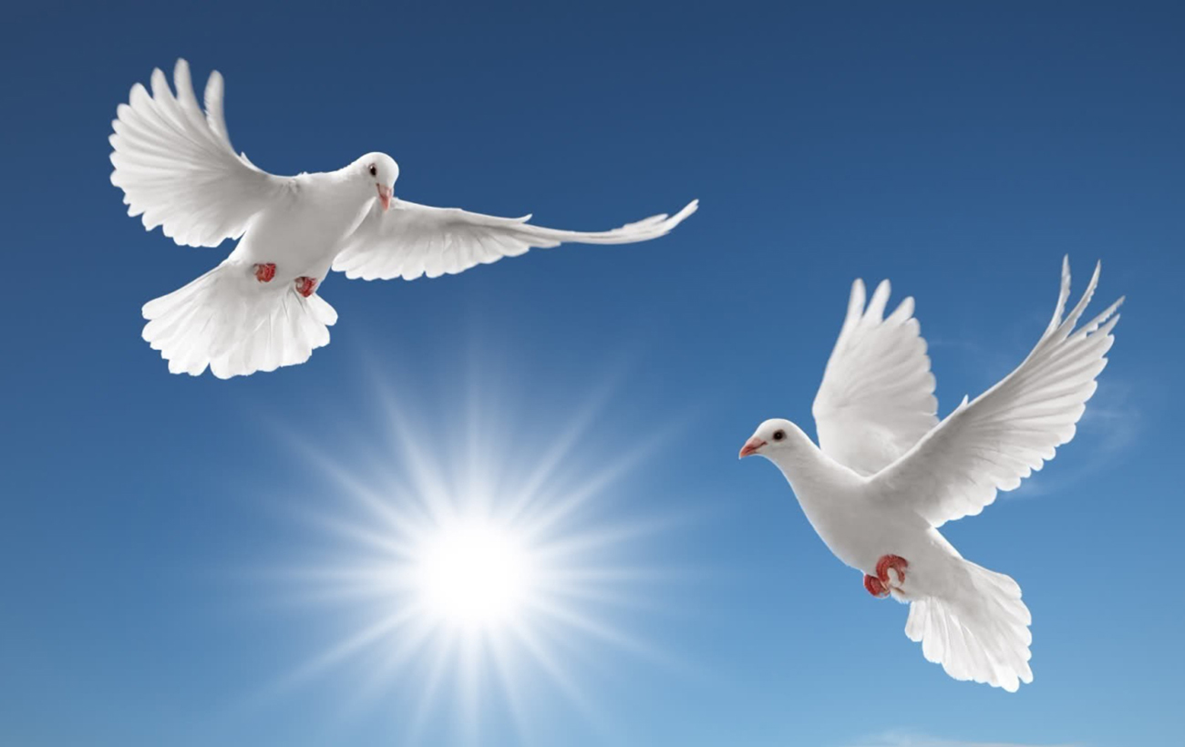 Благовещение. Что категорически нельзя делать в праздник: главные запреты